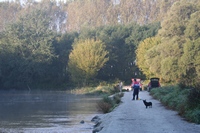 Horgászat